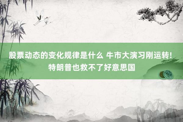 股票动态的变化规律是什么 牛市大演习刚运转! 特朗普也救不了好意思国