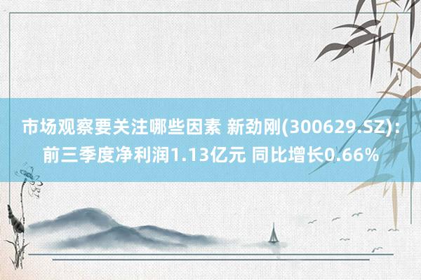 市场观察要关注哪些因素 新劲刚(300629.SZ)：前三季度净利润1.13亿元 同比增长0.66%