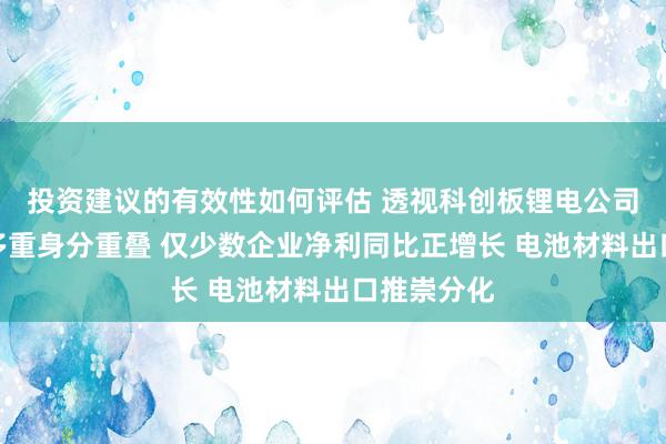 投资建议的有效性如何评估 透视科创板锂电公司三季报：多重身分重叠 仅少数企业净利同比正增长 电池材料出口推崇分化