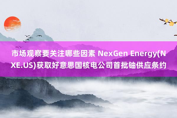 市场观察要关注哪些因素 NexGen Energy(NXE.US)获取好意思国核电公司首批铀供应条约