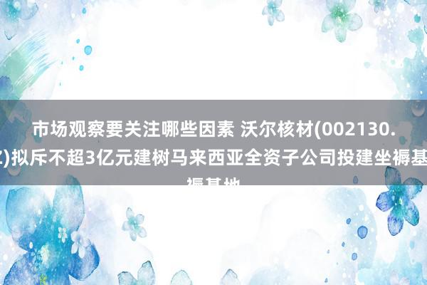 市场观察要关注哪些因素 沃尔核材(002130.SZ)拟斥不超3亿元建树马来西亚全资子公司投建坐褥基地