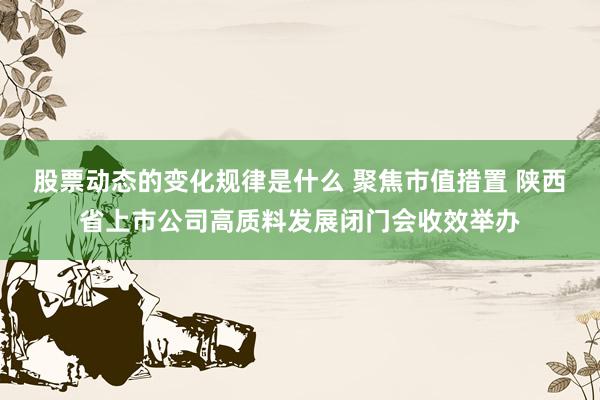 股票动态的变化规律是什么 聚焦市值措置 陕西省上市公司高质料发展闭门会收效举办