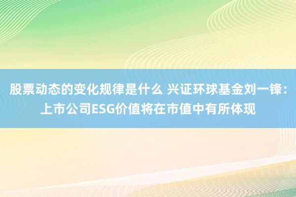 股票动态的变化规律是什么 兴证环球基金刘一锋：上市公司ESG价值将在市值中有所体现