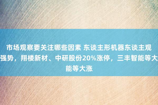 市场观察要关注哪些因素 东谈主形机器东谈主观点强势，翔楼新材、中研股份20%涨停，三丰智能等大涨