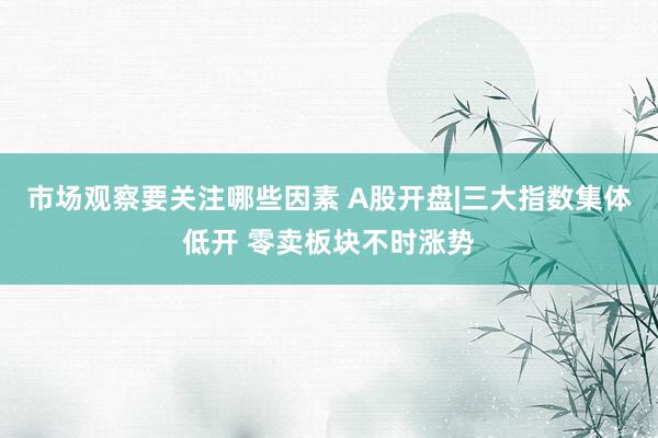 市场观察要关注哪些因素 A股开盘|三大指数集体低开 零卖板块不时涨势