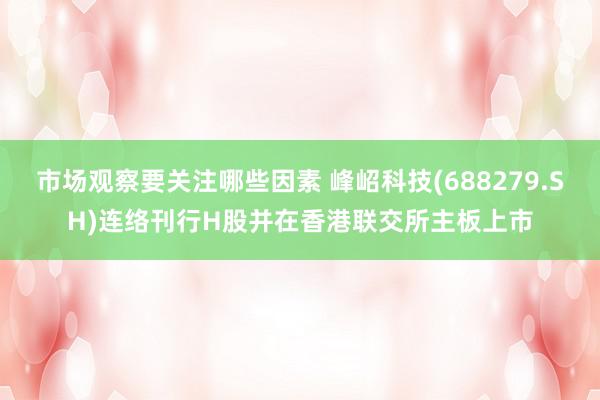 市场观察要关注哪些因素 峰岹科技(688279.SH)连络刊行H股并在香港联交所主板上市