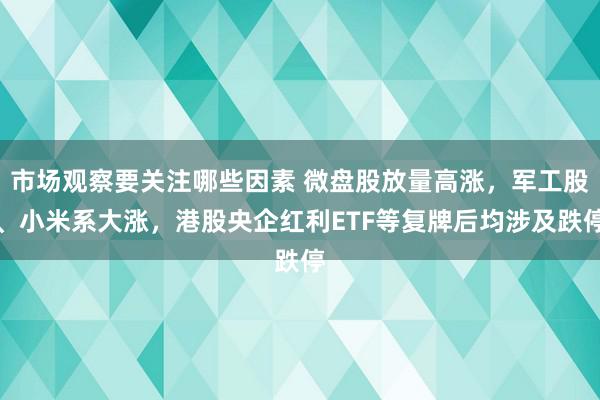 市场观察要关注哪些因素 微盘股放量高涨，军工股、小米系大涨，港股央企红利ETF等复牌后均涉及跌停