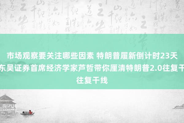 市场观察要关注哪些因素 特朗普履新倒计时23天！东吴证券首席经济学家芦哲带你厘清特朗普2.0往复干线