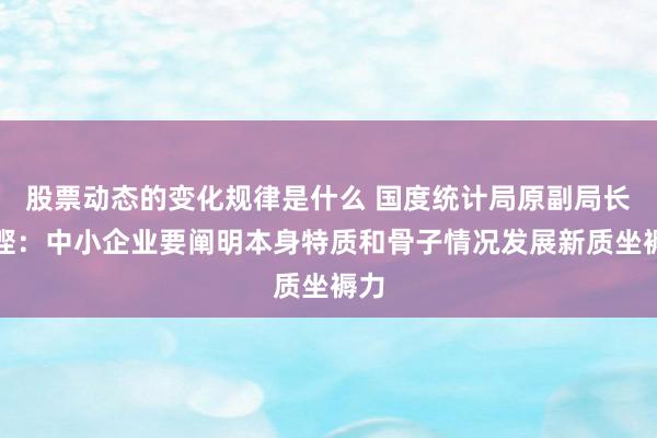 股票动态的变化规律是什么 国度统计局原副局长贺铿：中小企业要阐明本身特质和骨子情况发展新质坐褥力