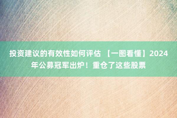 投资建议的有效性如何评估 【一图看懂】2024年公募冠军出炉！重仓了这些股票