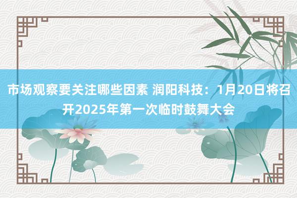 市场观察要关注哪些因素 润阳科技：1月20日将召开2025年第一次临时鼓舞大会