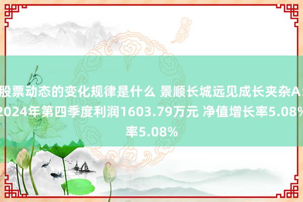 股票动态的变化规律是什么 景顺长城远见成长夹杂A：2024年第四季度利润1603.79万元 净值增长率5.08%