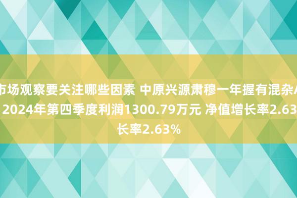 市场观察要关注哪些因素 中原兴源肃穆一年握有混杂A：2024年第四季度利润1300.79万元 净值增长率2.63%