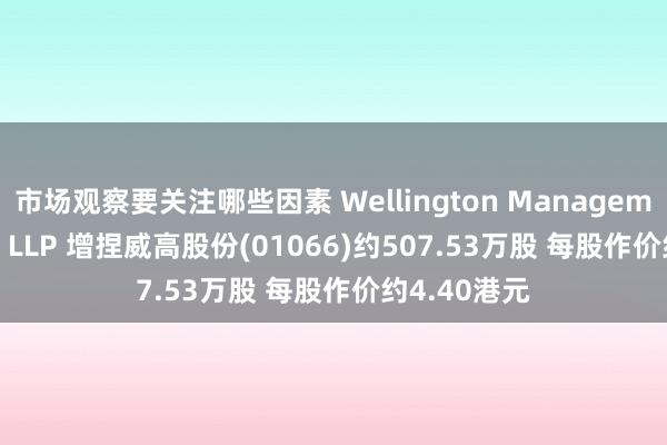 市场观察要关注哪些因素 Wellington Management Group LLP 增捏威高股份(01066)约507.53万股 每股作价约4.40港元