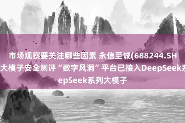 市场观察要关注哪些因素 永信至诚(688244.SH)：公司AI大模子安全测评“数字风洞”平台已接入DeepSeek系列大模子