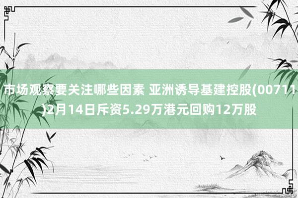 市场观察要关注哪些因素 亚洲诱导基建控股(00711)2月14日斥资5.29万港元回购12万股