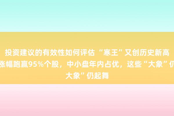 投资建议的有效性如何评估 “寒王”又创历史新高！月涨幅跑赢95%个股，中小盘年内占优，这些“大象”仍起舞