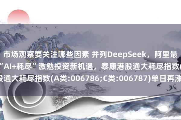 市场观察要关注哪些因素 并列DeepSeek，阿里最新大模子发布即爆火，“AI+耗尽”激勉投资新机遇，泰康港股通大耗尽指数(A类:006786;C类:006787)单日再涨超3%