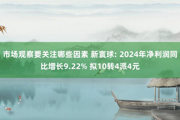 市场观察要关注哪些因素 新寰球: 2024年净利润同比增长9.22% 拟10转4派4元