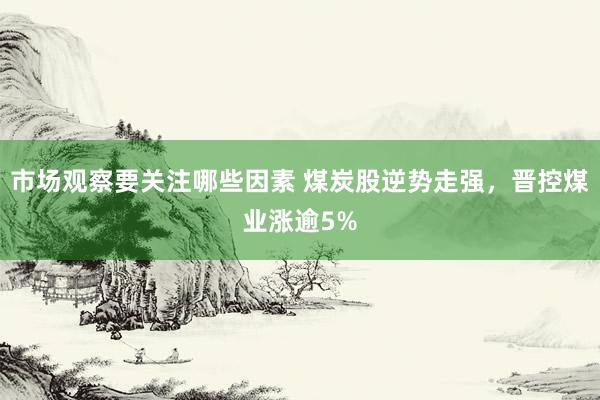 市场观察要关注哪些因素 煤炭股逆势走强，晋控煤业涨逾5%