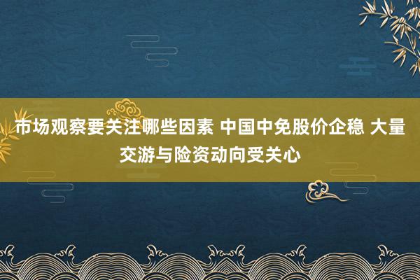 市场观察要关注哪些因素 中国中免股价企稳 大量交游与险资动向受关心